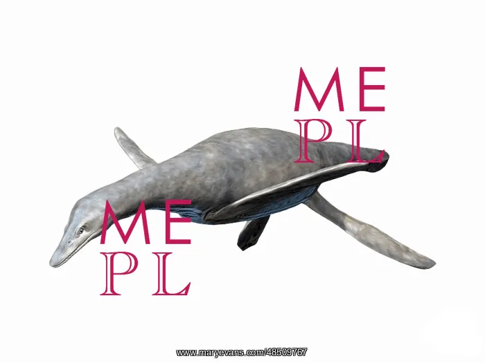 : Vectocleidus pastorum, Early Cretaceous of England : Vectocleidus pastorum, Early Cretaceous of England