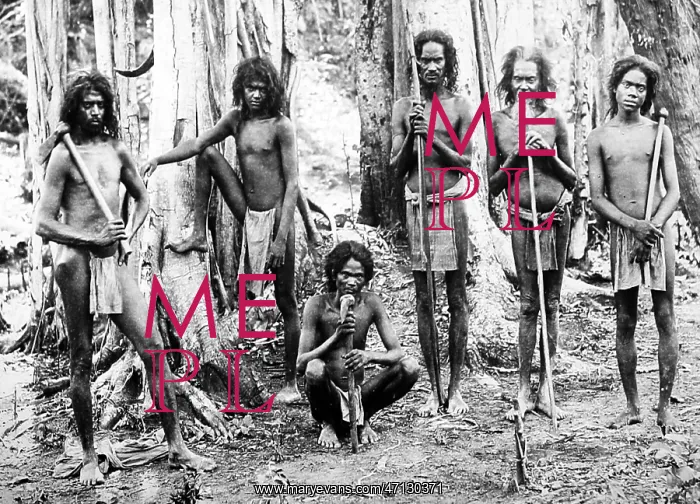 : Veddahs, forest dwelling aborigines of Sri Lanka : Veddahs, forest dwelling aborigines of Sri Lanka