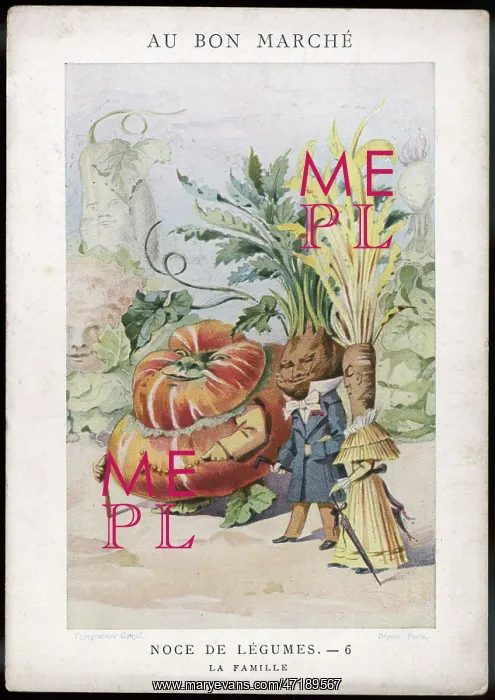 : VEG AS HUMAN 6 1900 : VEG AS HUMAN 6 1900