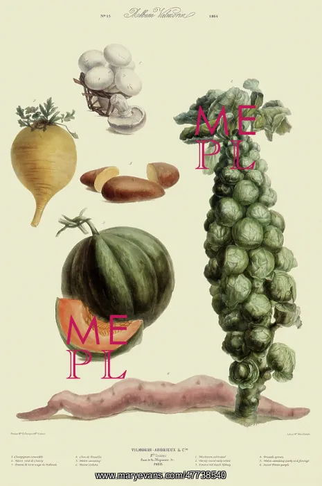  : Vegetable Assortment