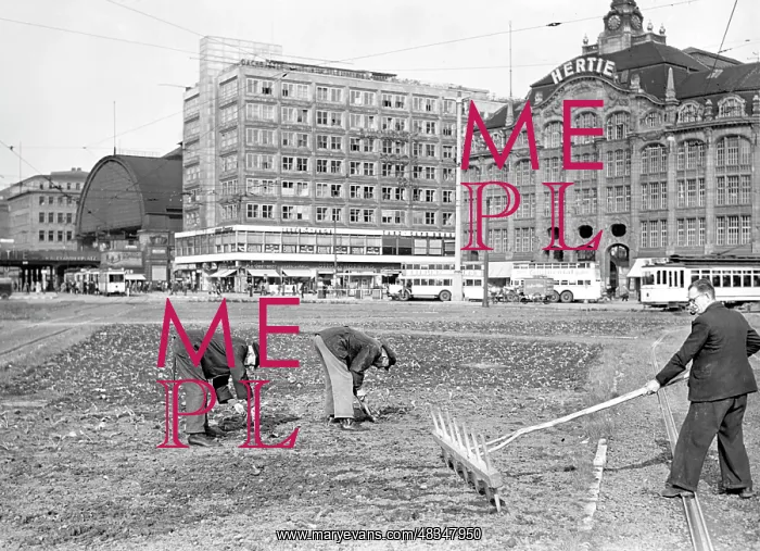 : Vegetable beds on Alexanderplatz, 1942 : Vegetable beds on Alexanderplatz, 1942
