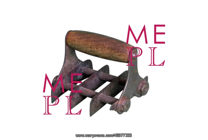  : Vegetable Chopper
