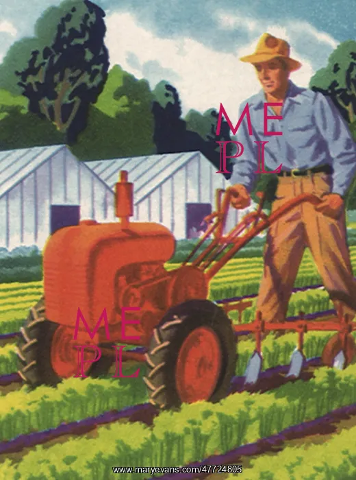  : Vegetable Cultivator
