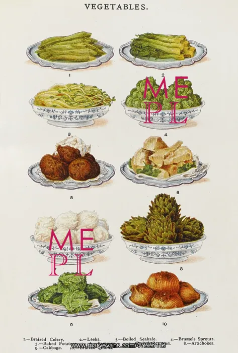 : Vegetable Dishes : Vegetable Dishes