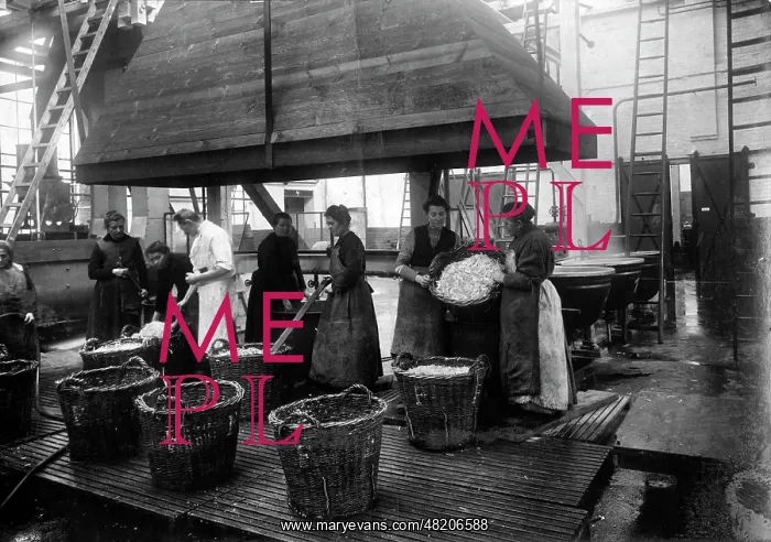 : Vegetable factory in Berlin, 1916 : Vegetable factory in Berlin, 1916