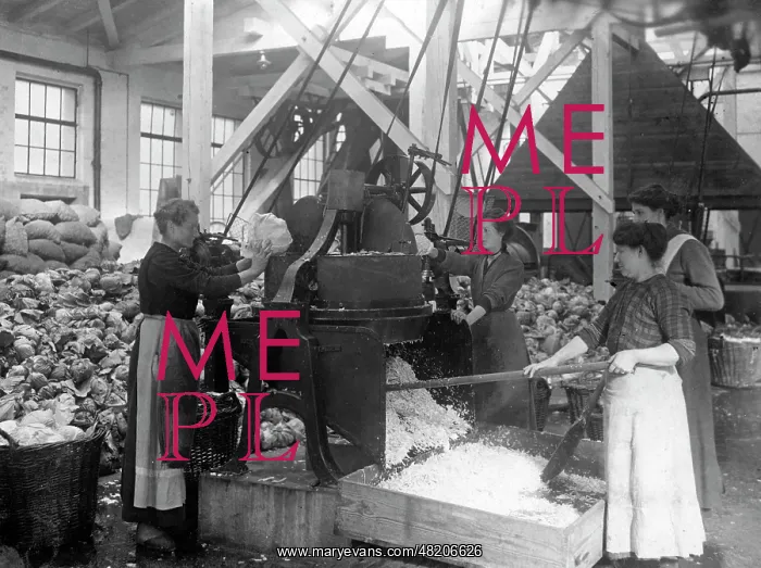 : Vegetable factory in Berlin, 1916 : Vegetable factory in Berlin, 1916