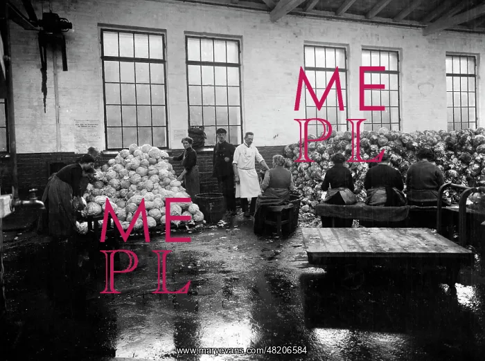 : Vegetable factory in Berlin, 1917 : Vegetable factory in Berlin, 1917