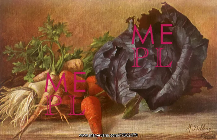 : Vegetable Still Life : Vegetable Still Life
