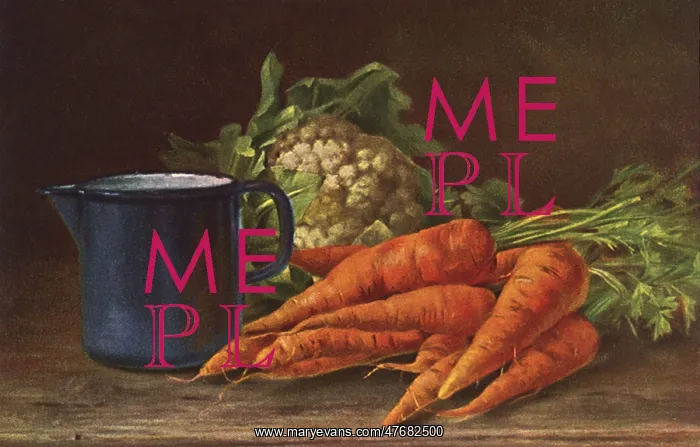 : Vegetable Still Life : Vegetable Still Life