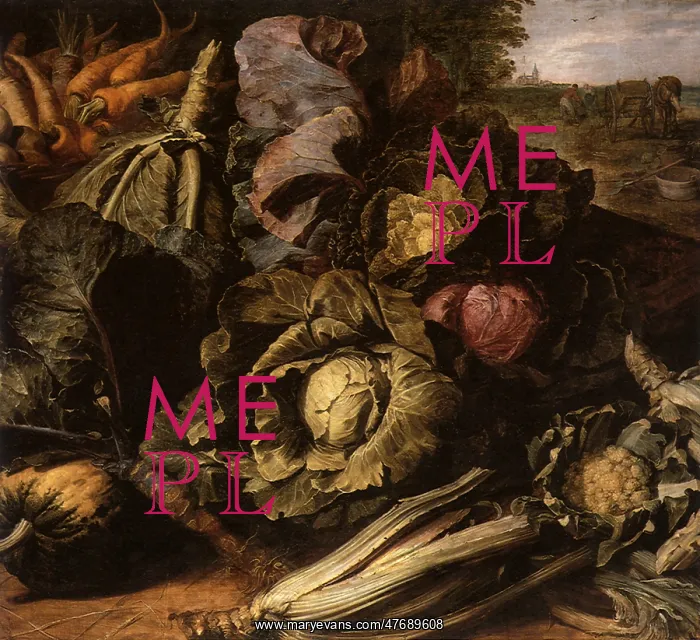  : Vegetable Still Life