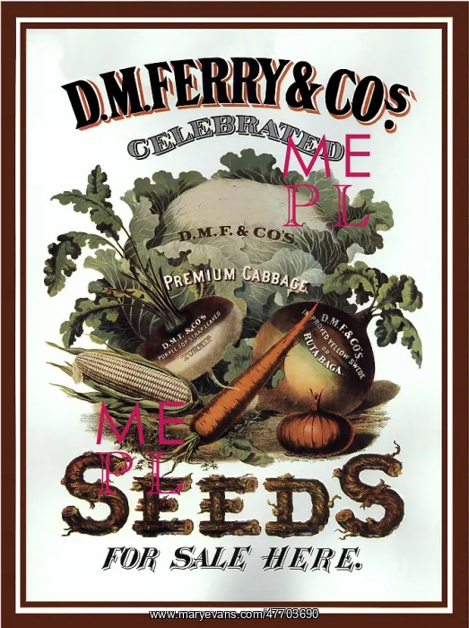  : Vegetables