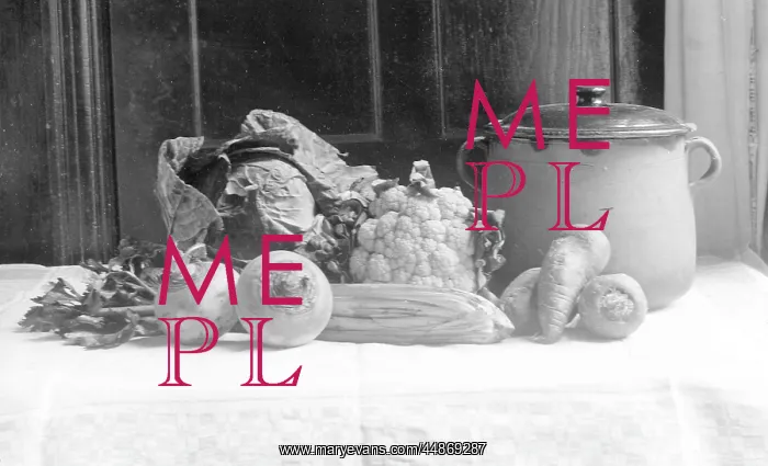 : VEGETABLES FOR SOUP : VEGETABLES FOR SOUP