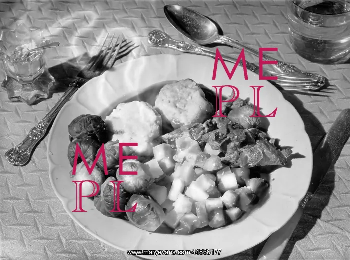 : VEGETARIAN DISH : VEGETARIAN DISH