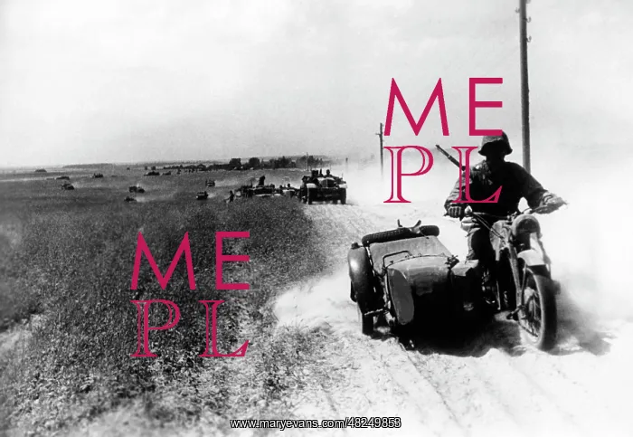 : Vehicles of the Waffen SS on the Eastern Front, 1941 : Vehicles of the Waffen SS on the Eastern Front, 1941