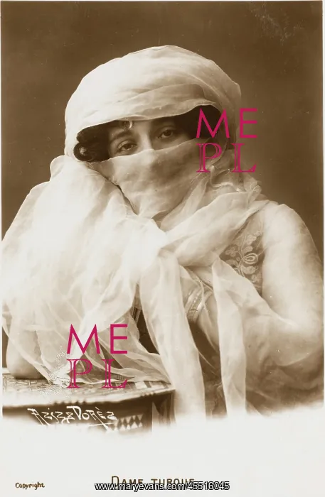 : Veiled Egyptian Beauty : Veiled Egyptian Beauty