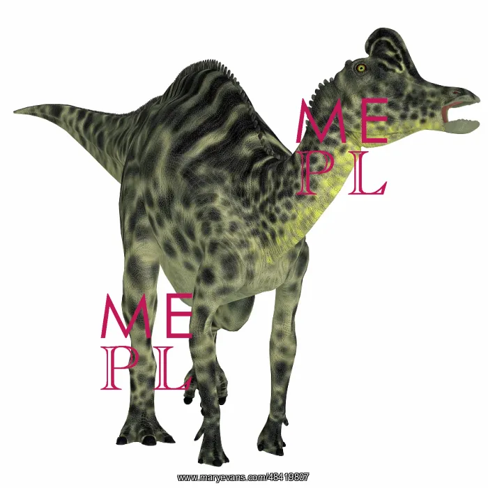 : Velafrons duck-billed dinosaur : Velafrons duck-billed dinosaur