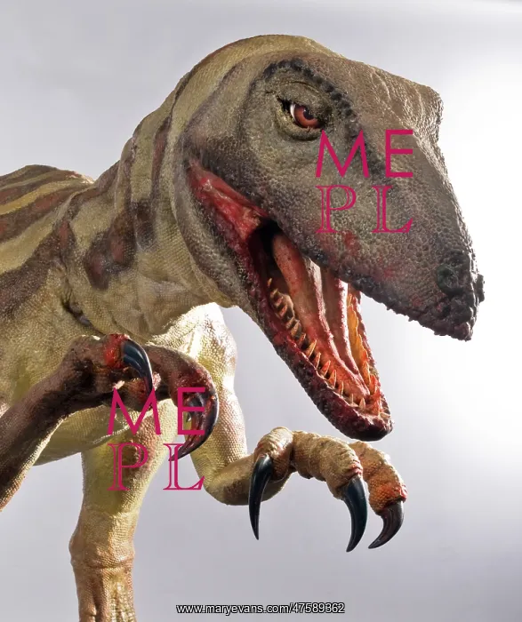 : Velociraptor : Velociraptor