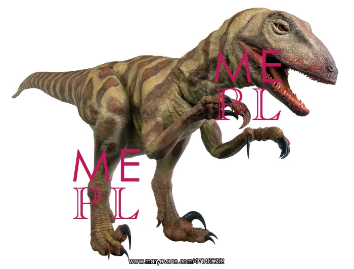 : Velociraptor : Velociraptor