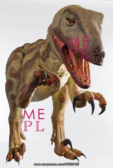 : Velociraptor : Velociraptor