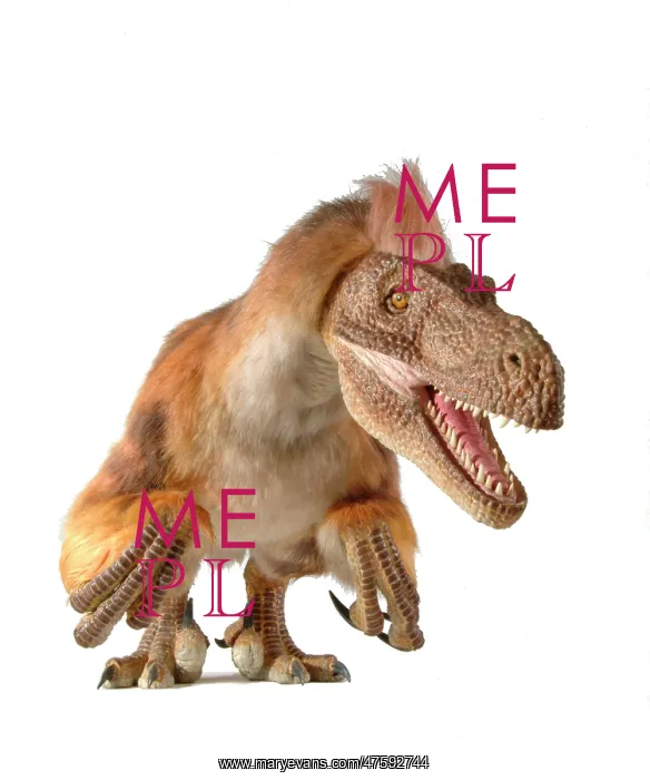 : Velociraptor : Velociraptor