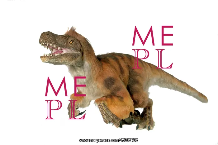 : Velociraptor : Velociraptor