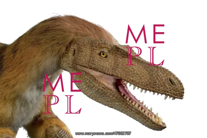 : Velociraptor : Velociraptor