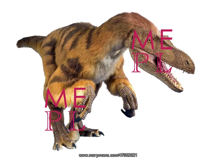 : Velociraptor : Velociraptor