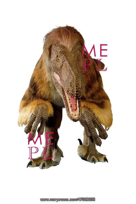 : Velociraptor : Velociraptor
