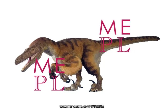 : Velociraptor : Velociraptor
