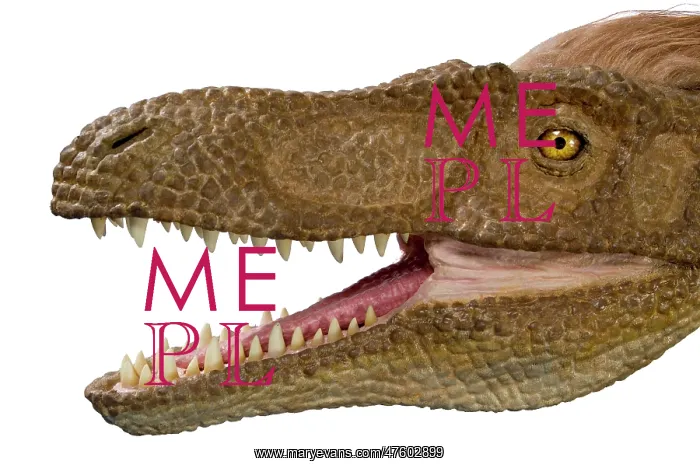 : Velociraptor : Velociraptor