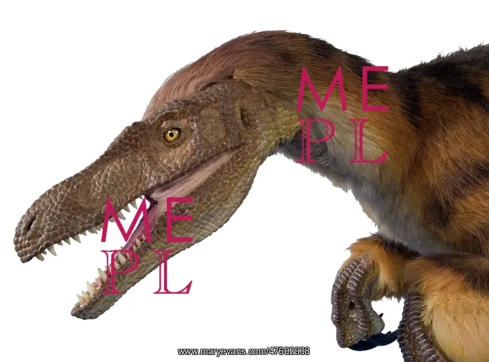: Velociraptor : Velociraptor