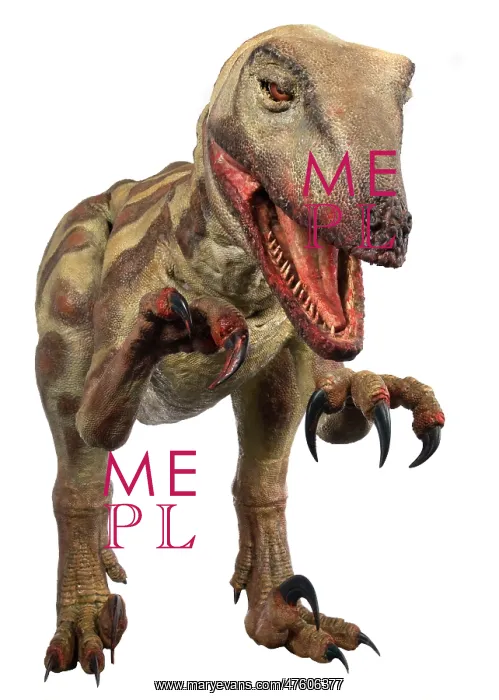 : Velociraptor : Velociraptor