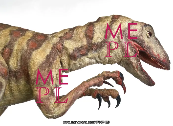 : Velociraptor : Velociraptor