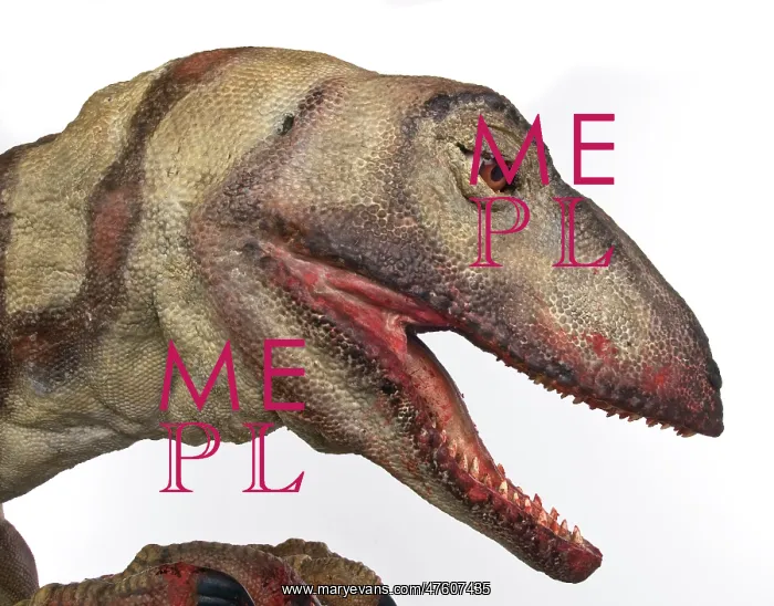 : Velociraptor : Velociraptor