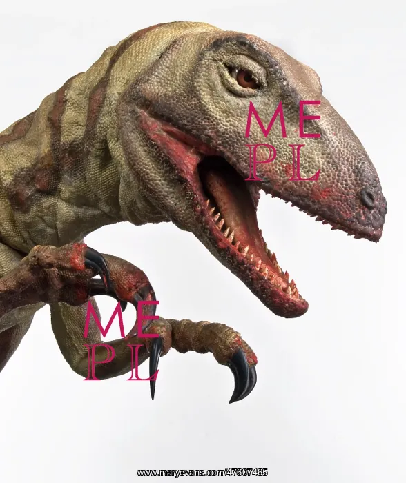  : Velociraptor