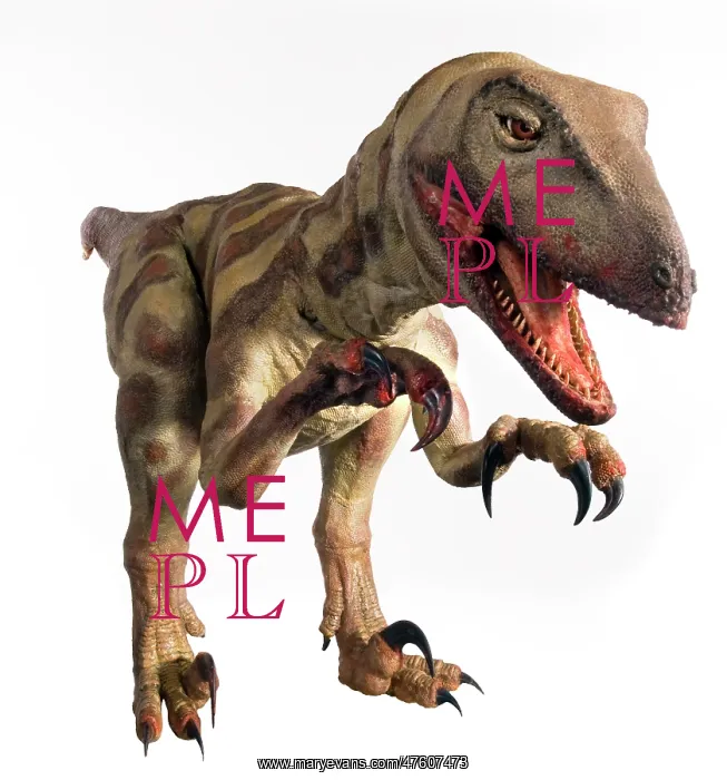 : Velociraptor : Velociraptor