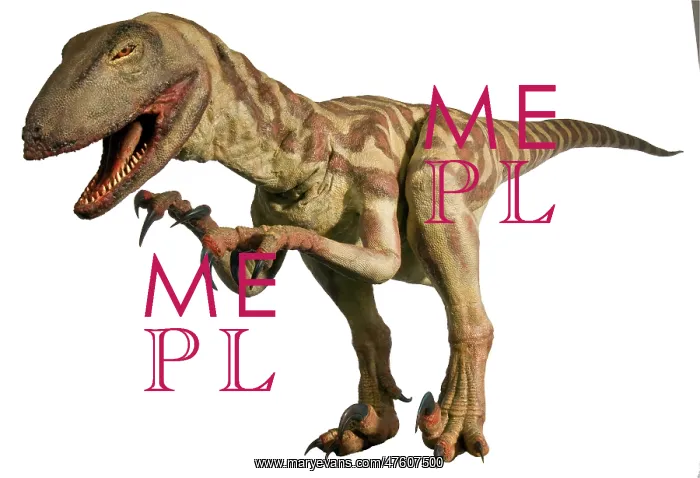 : Velociraptor : Velociraptor