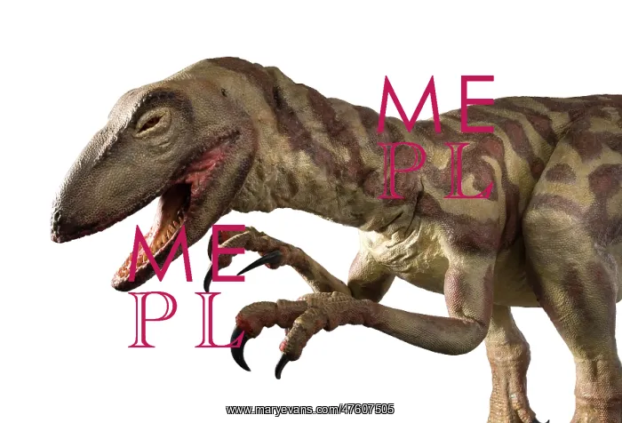 : Velociraptor : Velociraptor