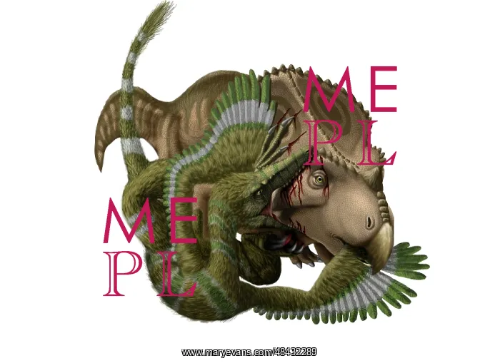 : A Velociraptor attacks a Protoceratops : A Velociraptor attacks a Protoceratops