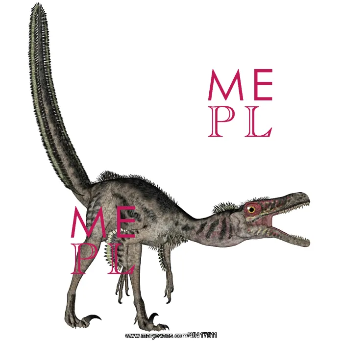 : Velociraptor dinosaur roaring, white background : Velociraptor dinosaur roaring, white background