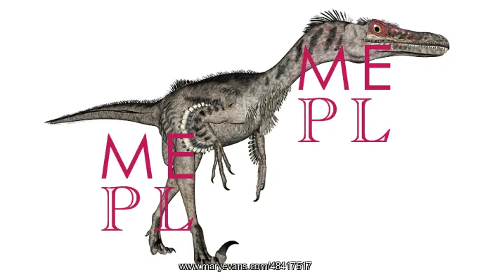: Velociraptor dinosaur, white background : Velociraptor dinosaur, white background