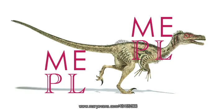 : Velociraptor dinosaur on white background : Velociraptor dinosaur on white background