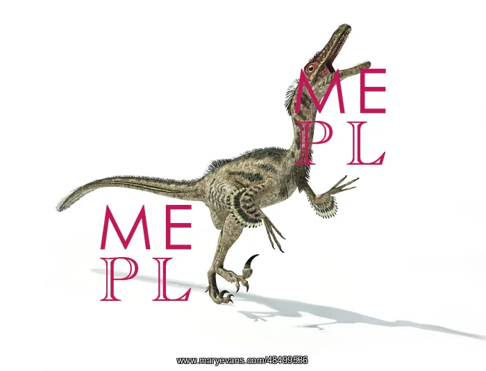 : Velociraptor dinosaur on white background : Velociraptor dinosaur on white background