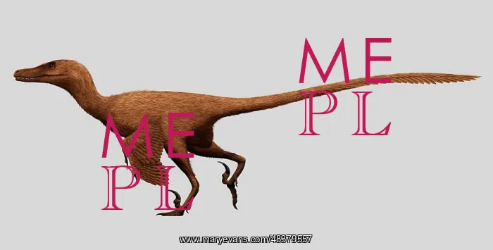 : Velociraptor mongoliensis was a mid-sized dinosaur from the : Velociraptor mongoliensis was a mid-sized dinosaur from the
