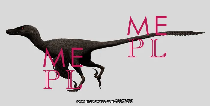 : Velociraptor mongoliensis was a mid-sized dinosaur from the : Velociraptor mongoliensis was a mid-sized dinosaur from the