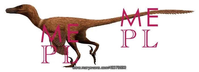 : Velociraptor mongoliensis was a mid-sized dinosaur from the : Velociraptor mongoliensis was a mid-sized dinosaur from the