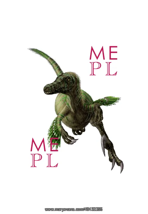 : Velociraptor, white background : Velociraptor, white background