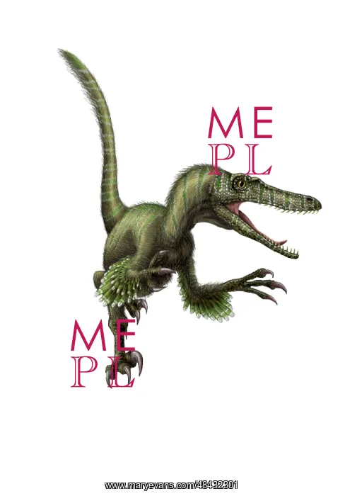 : Velociraptor, white background : Velociraptor, white background