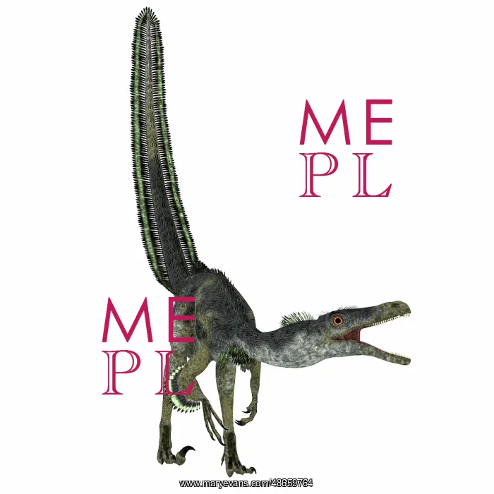 : Velociraptor on white background : Velociraptor on white background
