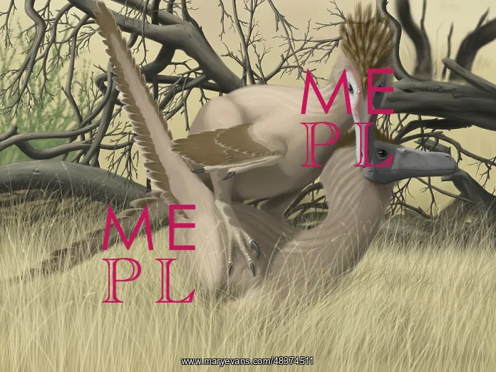: Two Velociraptor's during mating season : Two Velociraptor's during mating season
